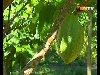 Laimodo taps into Cocoa