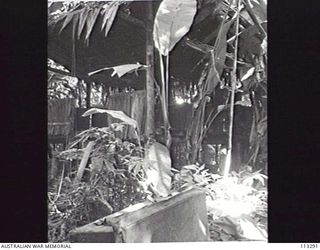 OGORATA RIVER, BOUGAINVILLE. 1945-08. ABANDONED JAPANESE HUT DEEP IN THE JUNGLE