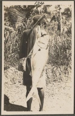 Papuan man carrying a large fish, New Britain Island, Papua New Guinea, approximately 1916