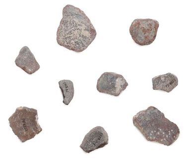 Lapita pottery sherds