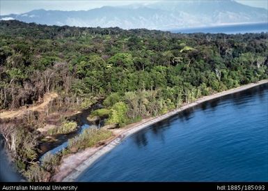 Wapolu beach, Wapolu swamp and beach from the air