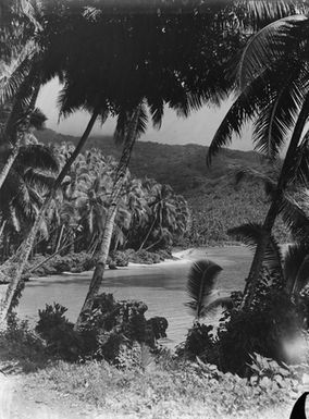 [Coastal Pacific landscape]