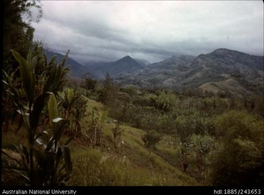 View of the landscape