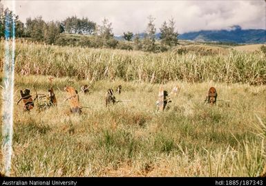 Warfare: Warriors running along grass line