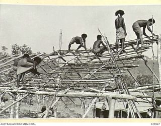 PORT MORESBY, PAPUA. 1942-07-20. PAPUAN NATIVES ASSEMBLING AND LASHING TOGETHER THE FRAMEWORK OF A HUT THEY ARE ERECTING FOR AMERICAN TROOPS