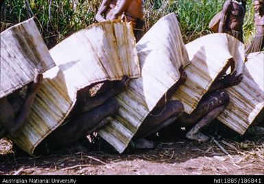 Men crouching under large leaves