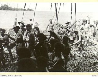 BIAMU, ORO BAY, NEW GUINEA. 1942-11-11. GUNNERS OF THE 2/5TH FIELD REGIMENT, ASSISTED BY LOCAL NATIVES, DRAGGING ONE OF THEIR GUNS OFF A CAPTURED JAPANESE BARGE AT BIAMU