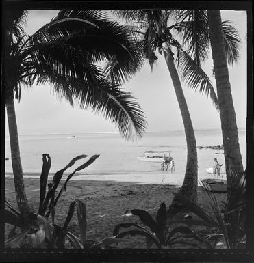 View to the sea, Skylodge Hotel, Nadi, Fiji