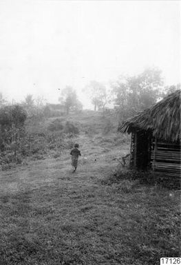 ["vy, hydda , ingång, utsikt, landskap, hus, fotografi, photograph"]