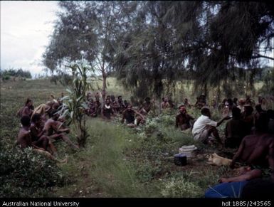 Group seated in the grass