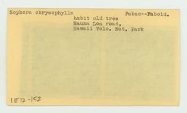 [Sophora chrysophylla in Hawaii, envelope IE12-152]