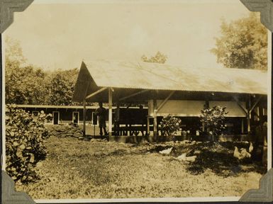 Tuanaimato Rubber Plantation, near Apia?, Samoa, 1928