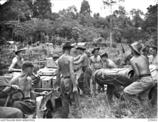 BARARA, BOUGAINVILLE ISLAND. 1945-03-07. TROOPS OF THE 25TH INFANTRY BATTALION LOADING PARACHUTES AND FRESH FOOD ONTO A JEEP AND TRAILER AFTER THE RAAF HAD DROPPED THE UNIT DAILY FOOD RATION. ..