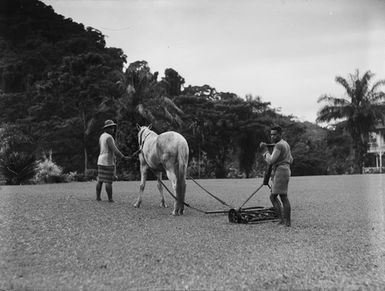 [Mowing the lawns]