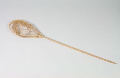 Model Flying Fish Net