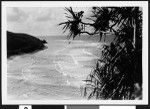 Birdseye view of a Hawaiian beach