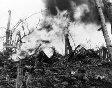 [Marines Burning a Japanese Pillbox]