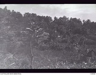 RABAUL, NEW GUINEA. 1946-07-04. AREA WHERE A SMALL JAPANESE TASK FORCE PENETRATED AND MET RESISTANCE BY 22ND BATTALION AND TROOPS OF THE NEW GUINEA VOLUNTEER RIFLES