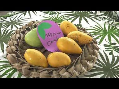 Colors of Paradise Ep 2 Agat Mango Festival