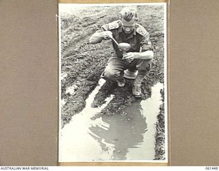 DUMPU, NEW GUINEA. 1943-12-06. QX4260 LIEUTENANT W. J. LYDDY, OFFICER COMMANDING, 18TH AUSTRALIAN ANTI-MALARIAL CONTROL UNIT LADLING WATER FROM A WHEEL RUT FOR EXAMINATION IN THE UNIT LABORATORY