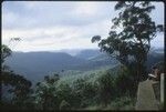 Anne Scheffler drawing, landscape scenery