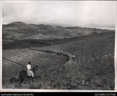 Farmers on horses