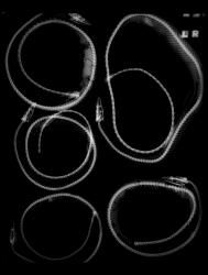 [untitled]