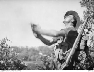 HANSA BAY, NEW GUINEA. 1944-09-07. QX37528 LIEUTENANT J. CHESTERTON, PATROL LEADER NO. 12 PLATOON, C COMPANY, 25TH INFANTRY BATTALION RELEASING A CARRIER PIGEON WITH A MESSAGE FOR THE UNIT ..