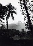 New Caledonia landscape, on a foggy morning