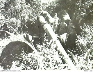 NEW IRELAND, 1945-10. JAPANESE HEAVY ARTILLERY PIECE UNDER INSPECTION BY ALLIED AND JAPANESE SERVICE PERSONNEL. (RNZAF OFFICIAL PHOTOGRAPH.)