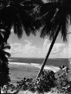 [View of Pacific Island reef taken from waterfront]