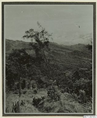 ["fotografi, photograph"]