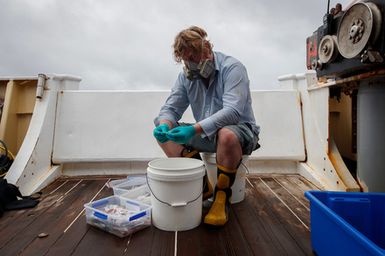 Jeremy Barker from Te Papa preserves reef fish in formalin after a rotenone station during the 2017 South West Pacific Expedition.