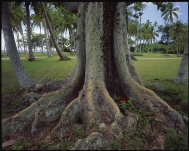 Golf course, Wakaya, Fiji, 1994 / Peter Dombrovskis