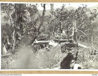 DONADABU AREA, NEW GUINEA. 1943-11-30. A VICKERS 303 MACHINE GUN CREW OF THE 2/10TH AUSTRALIAN INFANTRY BATTALION IN ACTION DURING A COMBINED EXERCISE WITH THE 2/4TH AUSTRALIAN FIELD REGIMENT. ..