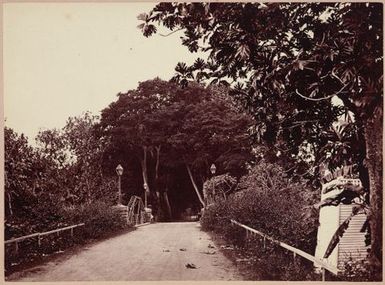 Trees and a bridge. From the album: Tahiti, Samoa and New Zealand scenes