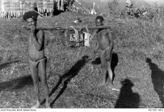 MARKHAM VALLEY, NEW GUINEA. C. 1945. TWO NATIVES USING A POLE SLUNG BETWEEN THEIR SHOULDERS, TRANSPORT A BATTERY USED IN THE MOBILE PROPAGANDA UNIT, FAR EASTERN LIAISON OFFICE, THROUGH ROUGH ..