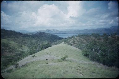 Old garden area : Port Moresby, Papua New Guinea, 1953 / Terence and Margaret Spencer
