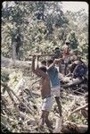 Land clearing: men clear trees and bushes from rocky land, preparing for construction