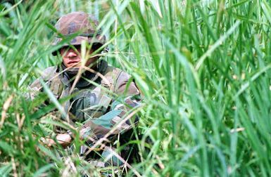 US Marine Corporal (CPL) Randy Garcia uses a patch of Hawaiian reeds as camouflage cover while on guard duty at Kaneohe Bay Marine Corps Station, HI. Marines from the 11th Marine Expeditionary Unit (MEU) Camp Pendleton, CA conduct simulated Noncombatant Evacuation Exercises (NEO) during Operation RIMPAC 96