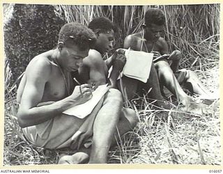 NEW GUINEA. 3 NOVEMBER 1943. PAPUAN INFANTRY WRITING HOME TO THEIR FAMILIES. ALL CAN SPEAK AND WRITE ENGLISH WELL. (NEGATIVE BY G. SHORT)