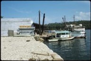 Docked boats