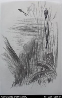 untitled [Birds of Paradise]