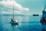 View over Papeete Harbour