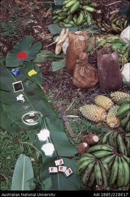 Gifts of matches, salt, fishing line, fish hooks, razor blades, mirrors, red and yellow trade beads and safety pins were given to longhouse members who provided taro, sago, cooking bananas, pineapples and sweet potato for a feast, which everyone shared