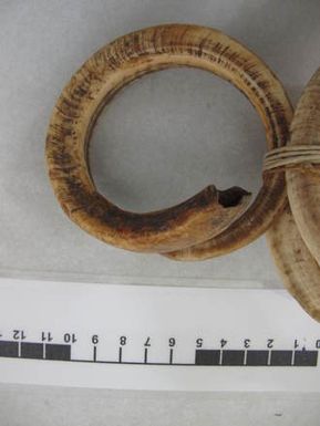 tusk, boar