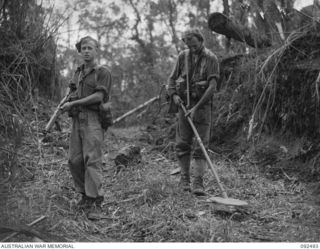 VX104461 Sergeant (Sgt) Jack Allan Charles Knight (right)) and VX147137 Pte Francis Cyril Barr (holding a rifle), both 24 Infantry Battalion troops, on a mine clearing operation. Pte Knight ..