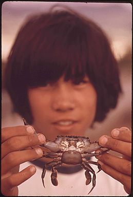 HAWAIIAN BOY HAS CAUGHT A CRAB