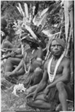 Pig festival, wig ritual, Tsembaga: man wearing large feather headdress rests beside dance ground, chewing betelnut