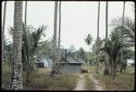 Siar Plantation, copra drying shed